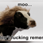 Image of MOO