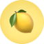Lemon Terminal