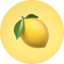 Image of LEMON