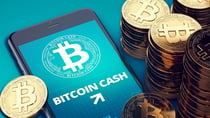 Analysts Think that DigiToads (TOADS) Binance Coin (BNB) and Bitcoin Cash (BCH)  Could be the Best Investments of 2023