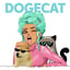 Image of DOGECAT