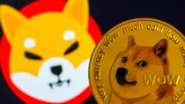 Is the meme coin season over? Analyst says buy Pushd (PUSHD) over SHIB and DOGE