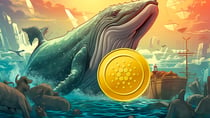 ADAV Whale who dumped $3M ADA tokens last week has made his first purchase since then