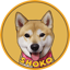 Imagen de SHOKO