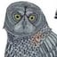 Image de OWL