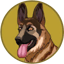 Image of BERGERDOGE