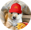 Image of BOPPY