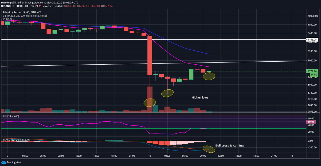 BTC 1h Chart