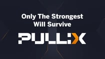 EGRAG Crypto Reveals Bullish Prediction on Ripple (XRP), Can Pullix (PLX) Keep Up?