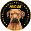 Bild von RIDGE