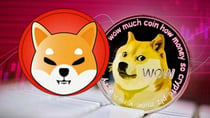 As Shiba Inu & Dogecoin Prices Lag, Could This New Meme Coin Hit $1 First?