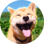 Bild von MARU
