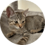 Image of MELO