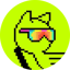 Bild von PURR