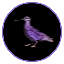 Görüntüsü SLT