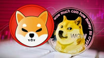 DOGE And SHIB Explore Utility While Scorpion Casino Leads In Crypto Betting Niche; Why Are Utility Tokens Pumping In 2024?  