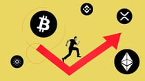 Top 3 Low-Cap Altcoins To Buy As Bitcoin Bull Run Begins