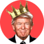 Afbeelding van TRUMPDAO