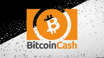 What Is the Bitcoin Cash Halving and Will It Help Boost the BCH Price?