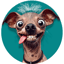 Image of UGLYDOG