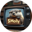 Image of MOLLY