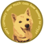 Bild von DOGE2