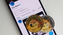 Crypto Twitter gets over Dogecoin obsession. Are DigiToads and Pepe the frog next big craze?