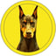 Image of DOBE