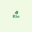 Gambar RIOA