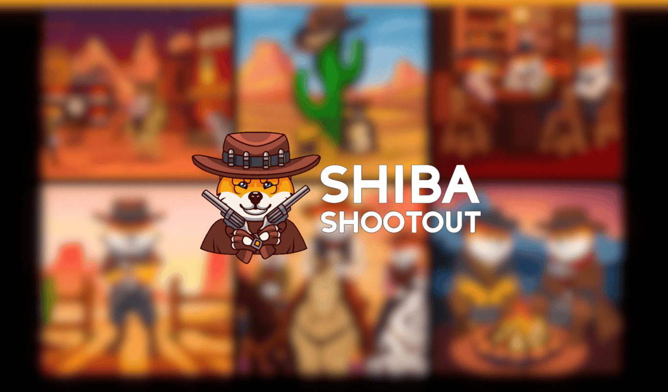 Shiba Shootout