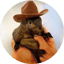 Bild von PNUTS