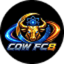 Изображение FC8