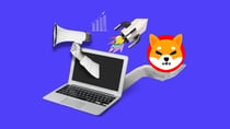 Shiba Inu On-chain Activity on the Rise,What Next For SHIB Price?