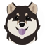 Görsel: INU