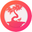 Image of BONSAI