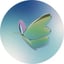 Image de RDMP