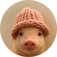 Image of PIGWIF