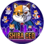 Imagen de SHIBCEO