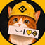 Изображение BNBCAT/WBNB