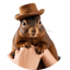 Image of PEANUT