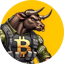 Imagen de BTCBULL