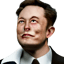 Image of ELON