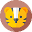 Image de ROAR