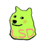 Image of LSDOGE