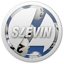 Image of SLEVIN