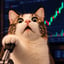 Image of LEVERCAT/XSOL