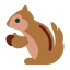 Image of NUTS