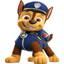Изображение PAW