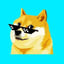 Image of DOGE01