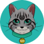 Görsel: CATSHIRA